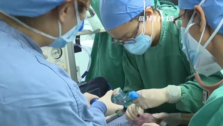 4名“台独”网军头目照片被曝光,新澳门开彩管家婆资料精准一句真言,展开解析落实_手游版V2.7